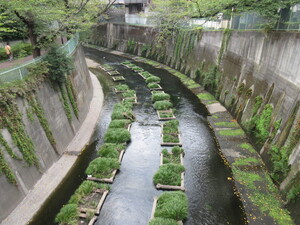 魚巣ブロック