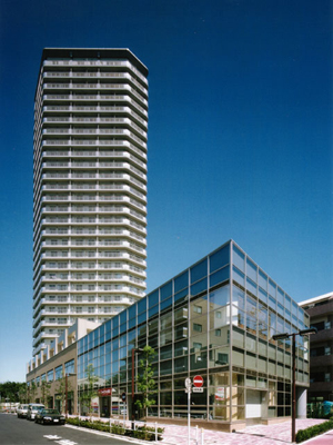 写真:きれいに整備された様子