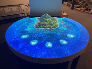 熱帯環境植物館プロジェクションマッピング