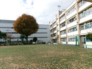 写真：シンボルツリーである銀杏の木と校舎、人工芝の校庭