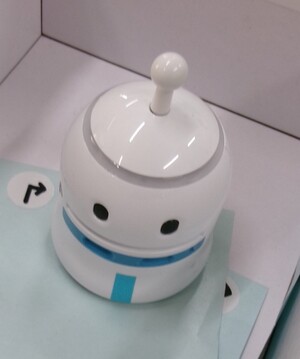 写真：プログラミングロボットTrue True