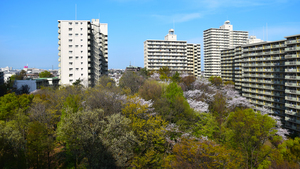 サンシティ／サンシティグリーンボランティアの写真