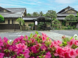前野原温泉　さやの湯処の写真
