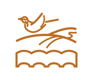 すべての人が健康で自分らしく輝けるまち