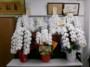 写真：校長室に飾られたお祝いの花