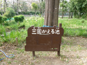 写真：学校の敷地内にある池