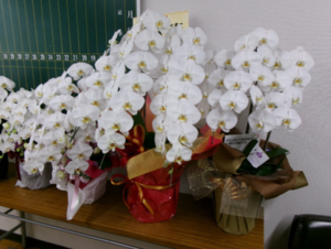 写真：お祝いの花