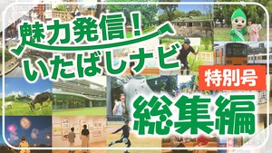 第143回　板橋の魅力を＼ぎゅっ♪／とお届け！いたナビ総集編