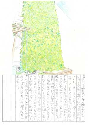 hurisutairubumon