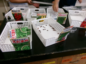 写真：さまざまな植物の種を提示