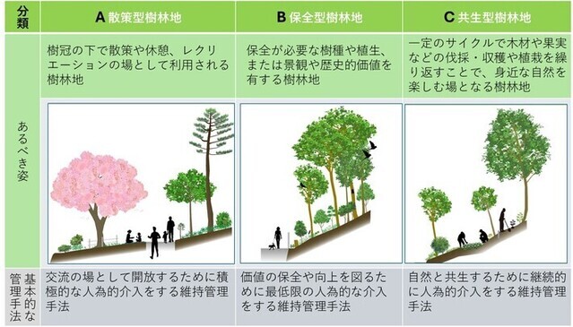 樹林地管理方針における樹林地の分類