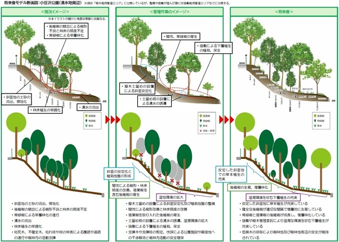 将来像モデル断面図　小豆沢公園（湧水地周辺）