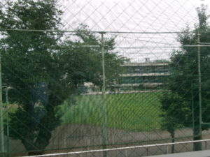 写真：道路の向こうにある小学校