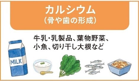 イラスト