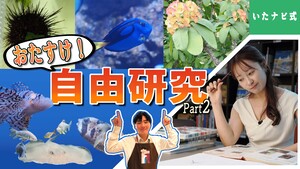 画像:サムネイル