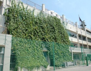 板七小（写真）