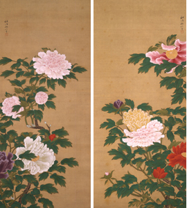 作品：牡丹図　狩野邦信