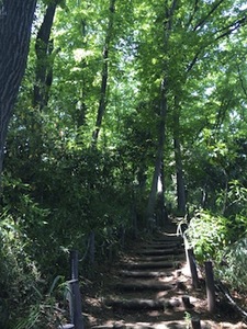 写真：赤塚城跡3