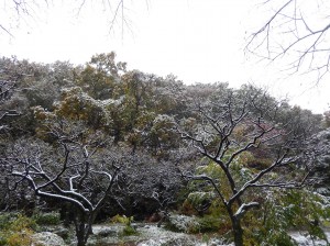 写真：美術館前の景色2