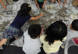 写真：小枝を選ぶ子供たち