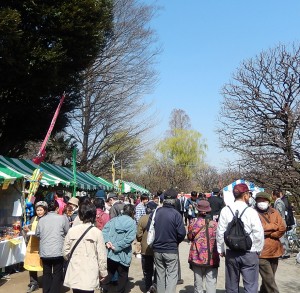 写真：会場の様子