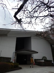 写真：美術館入口と梅の木