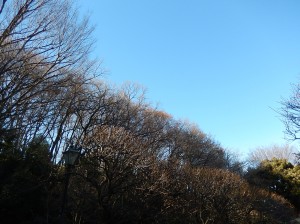 写真：美術館の外から見える空1