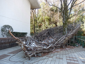 写真：雪化粧の屋外展示作品1