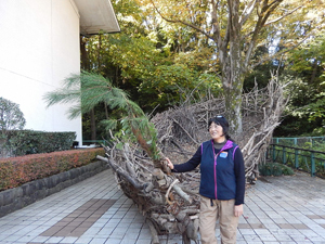 写真：2013年11月20日の会場の様子