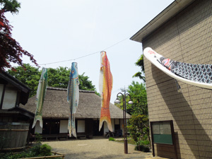 写真：郷土資料館のこいのぼり