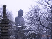 写真：美術館周辺の雪景色2