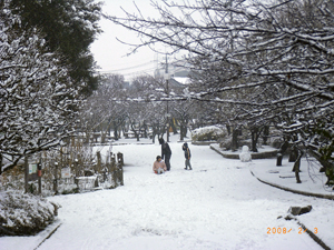 写真：美術館前庭の風景