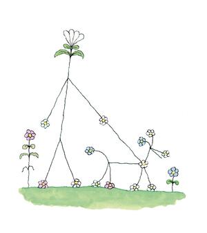 ブルーノ・ゾッカの作品