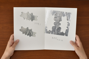 参考作品 こうもりとかがみ