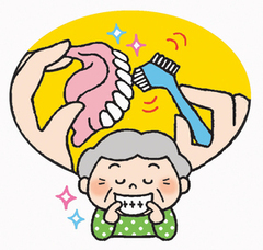 入れ歯のイラスト