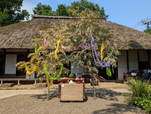 タナバタまつりのようす