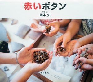 『赤いボタン』表紙画像